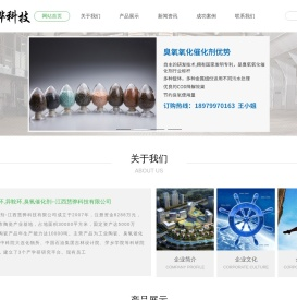 矩鞍环,阶梯环,异鞍环,臭氧催化剂