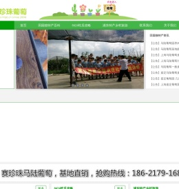 南汇8424西瓜网