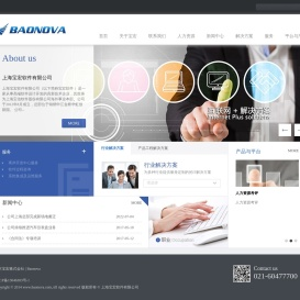 上海宝宏软件有限公司