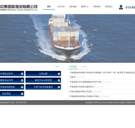 中集国际物流有限公司