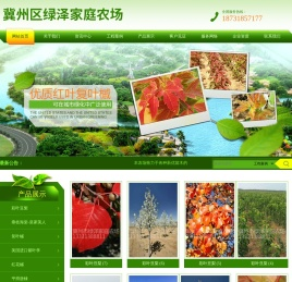 冀州区绿泽家庭农场