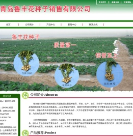 青岛鲁丰花种子销售有限公司