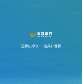 安徽中盛科技产业集团有限公司