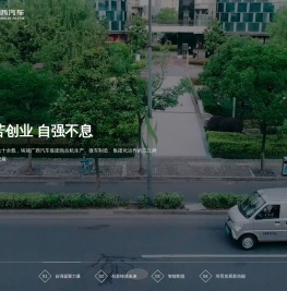 广西汽车集团有限公司