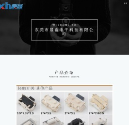 东莞市晨鑫电子科技有限公司