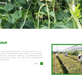 广东九方农业科技有限公司