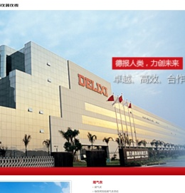 德力西仪器仪表有限公司