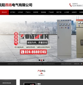 沈阳昂扬电气有限公司