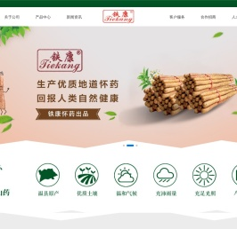 铁康怀药