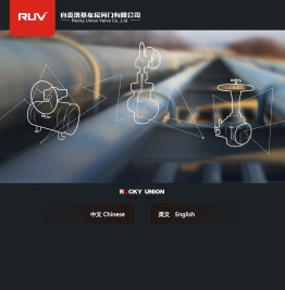 球阀,闸阀,旋塞阀,将军阀
