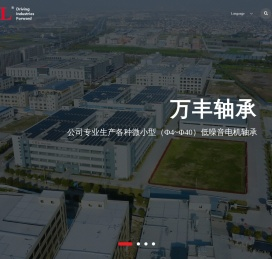 微小型轴承,微小型轴承,园林工具轴承,汽车轴承