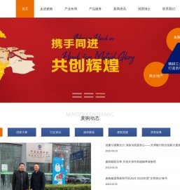 麦购集团有限公司