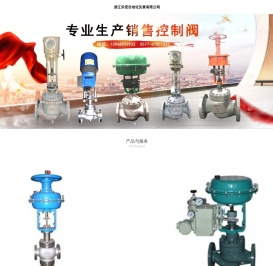 浙江乐控自动化仪表有限公司