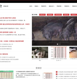 查猪价网
