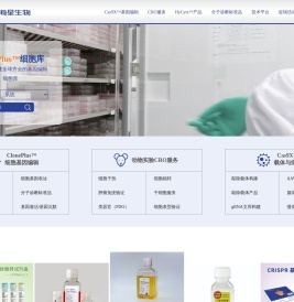 基因敲除细胞株/病毒/载体/细胞系