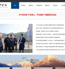 大中矿业股份有限公司