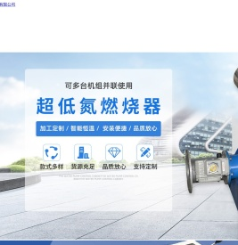 沧州市天龙燃烧设备有限公司