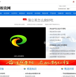 草根贵网