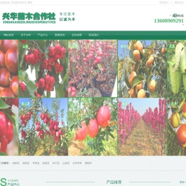 新优桃树苗