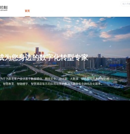 数智驱动发展