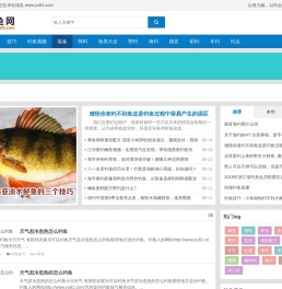钓鱼网