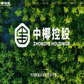 中椰集团