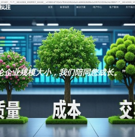 台州市天网网络有限公司