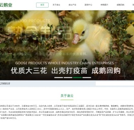 凌云鹅业,易县凌云,易县凌云鹅业有限公司