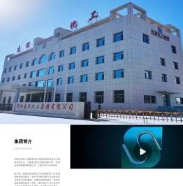 沈阳友谊化工集团有限公司