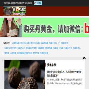 爱松露网
