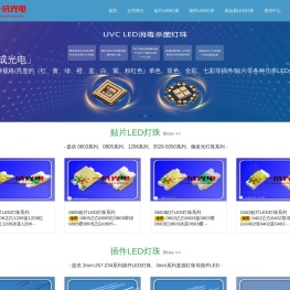 LED灯珠厂家