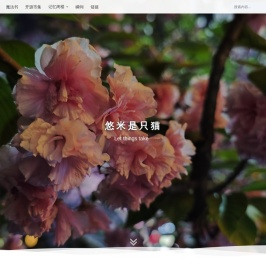 悠米是只猫