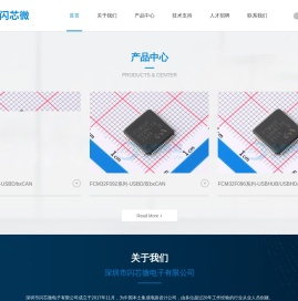 深圳市闪芯微电子有限公司