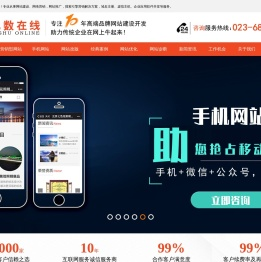 重庆做网站建设的公司