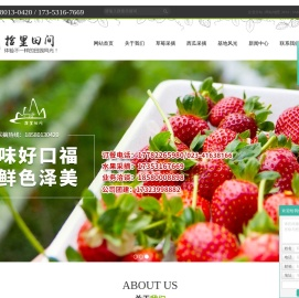 重庆草莓采摘