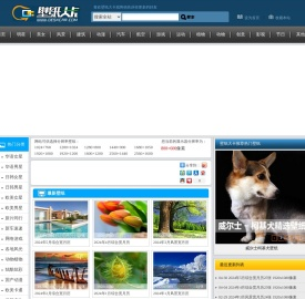 壁纸