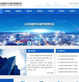 山东省数字化城市管理协会
