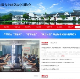 安徽省小额贷款协会