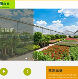 租赁办公室的花木,绿植,植物