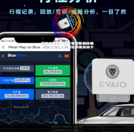 蓝鲸车载仪