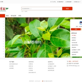 靓新到家