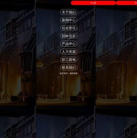 山东鲁丽钢铁有限公司
