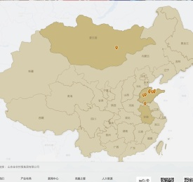 山东金富矿业有限公司