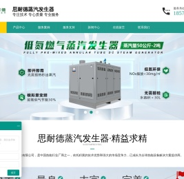 思耐德蒸汽发生器