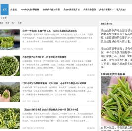 兰花香安吉白茶价格多少钱一斤【图片