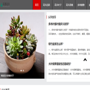石景花卉