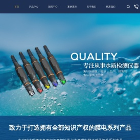 离子电极