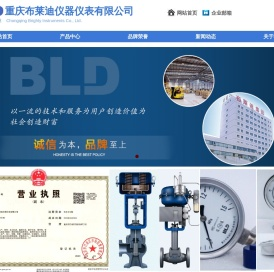 重庆布莱迪仪器仪表有限公司