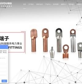 朋友电力科技有限公司