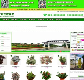 广州正欣园艺多肉植物批发网站